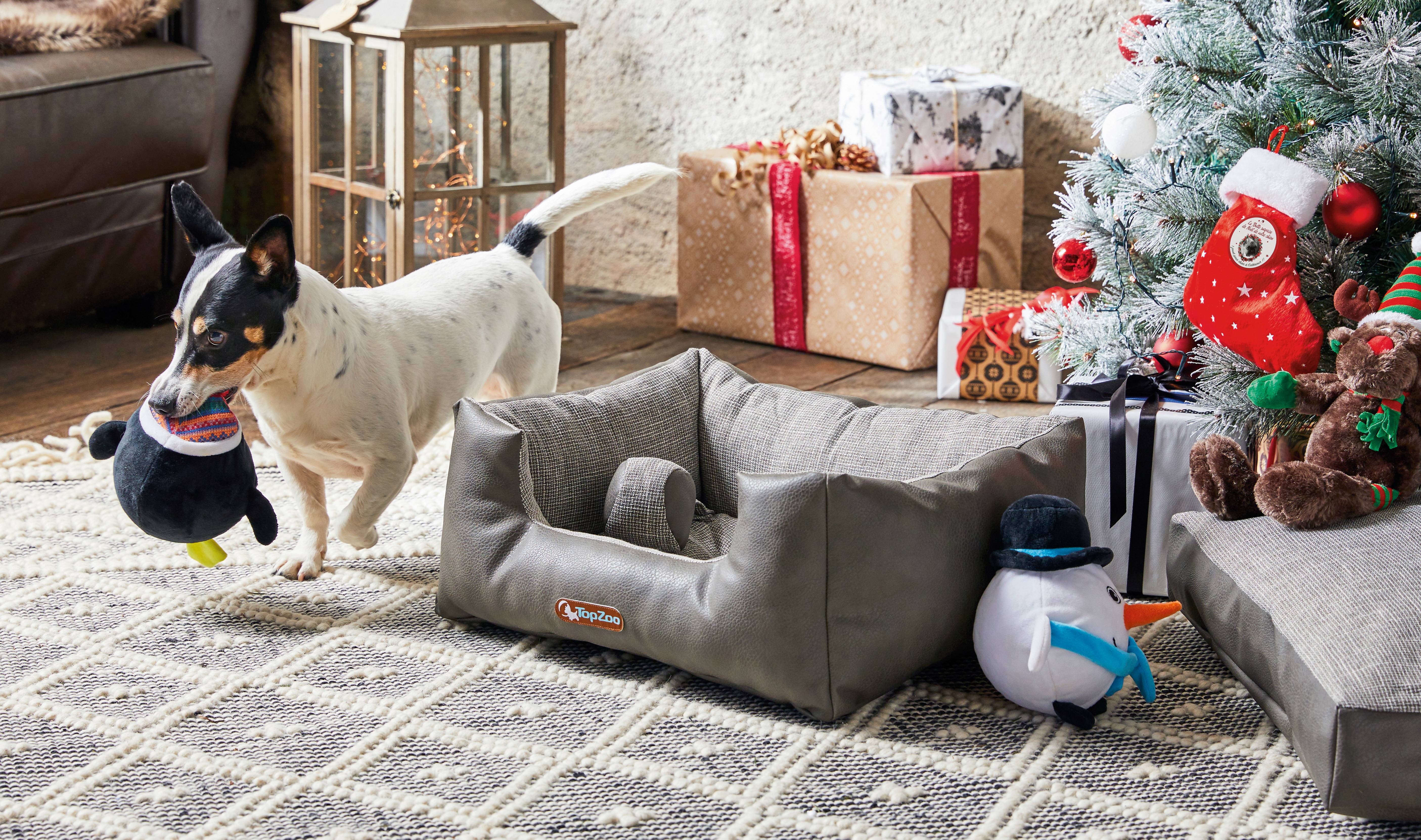 Wouapy - Wouapy - Botte surprise de Noël pour chiens  - L.18 x l.3 x H.22 cm - Image 2