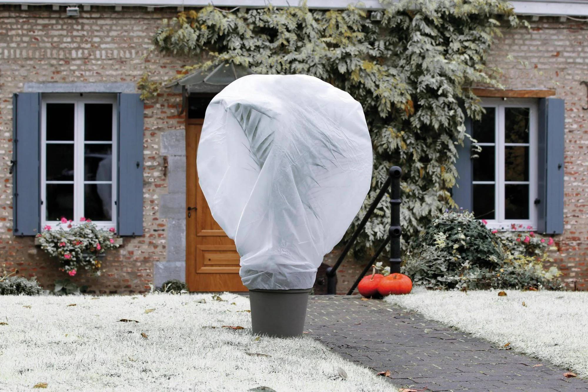 Nortène - Voile d'hivernage Wintertex L. 5 x l.2 m 30 g/m² - Nortène - Imagen 1