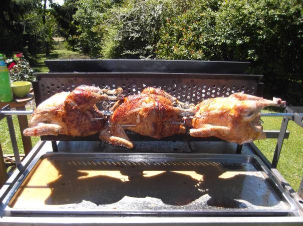 Somagic - Barbecue spécial rôtisserie Somagic - Image 2