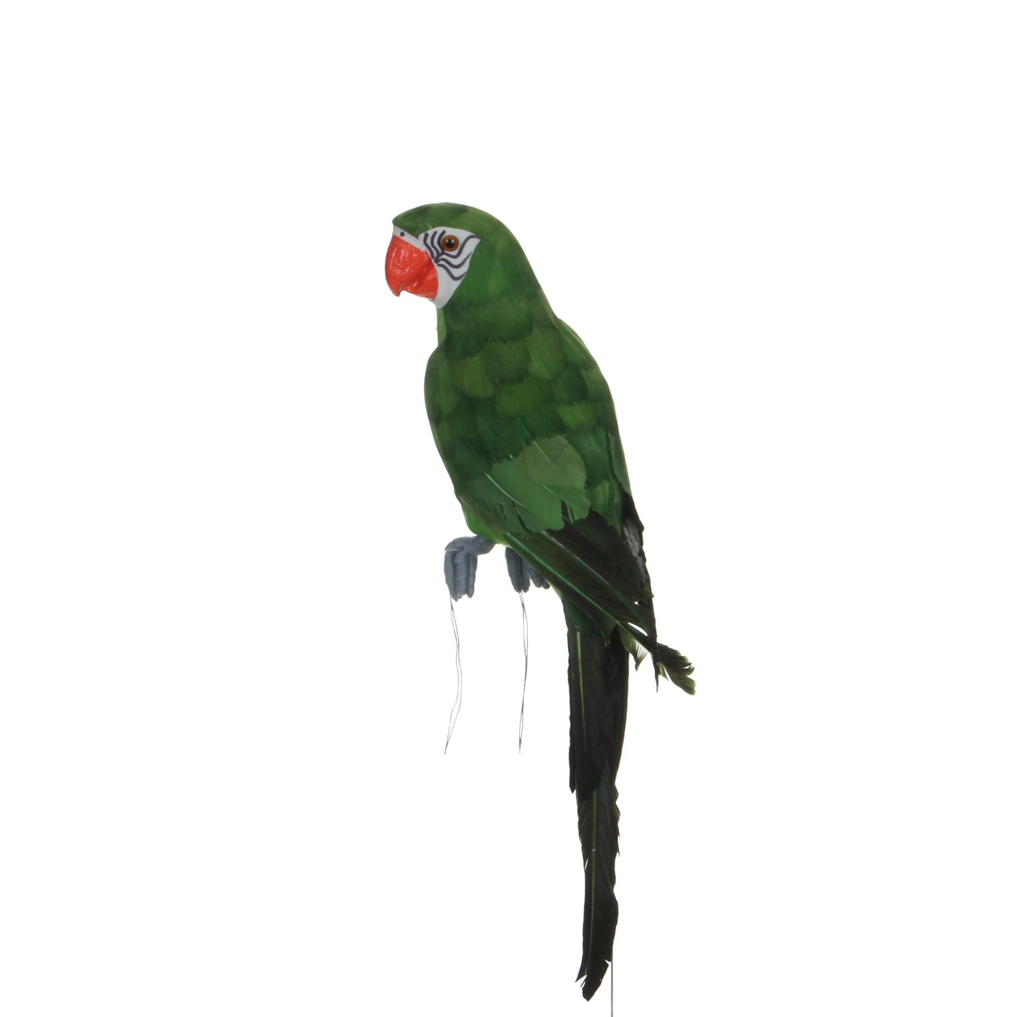 House of Seasons - Loro verde - L.42 x l.10 x H.13 cm