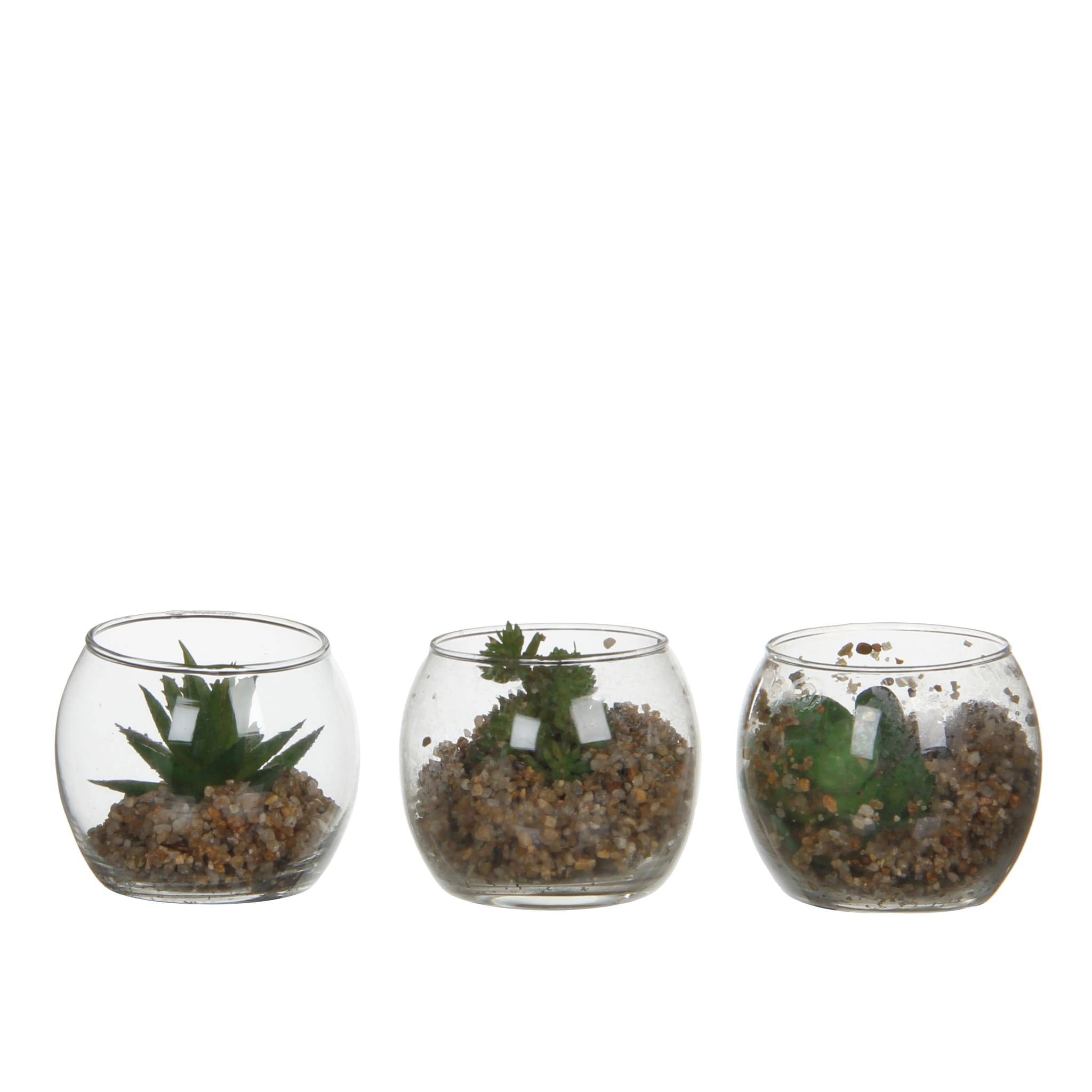 Mica Decorations - Succulentes artificielles Pots de verre sphériques - H.7 x Ø 8 cm