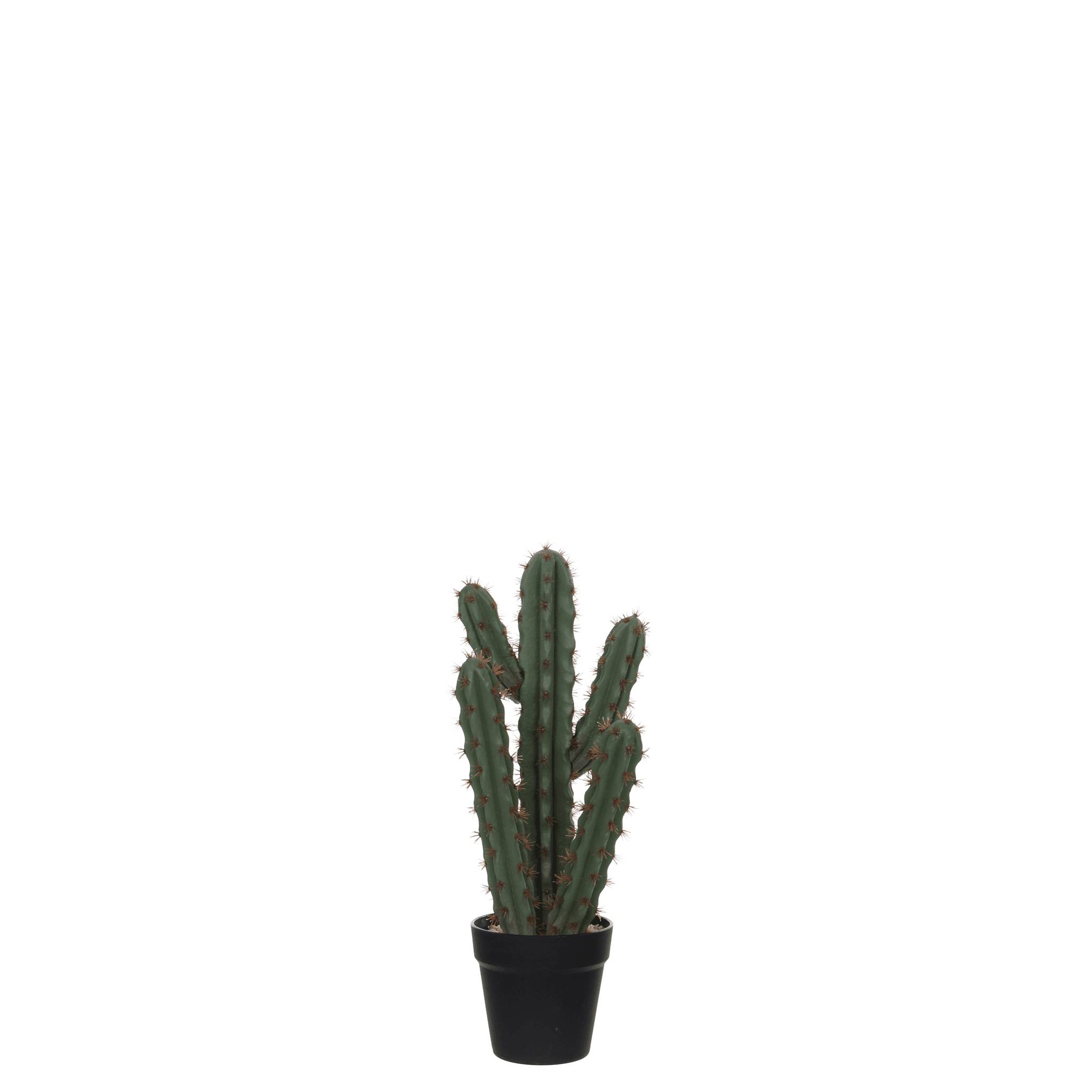 Mica Decorations - Cactus artificiel en pot plastique L.20 x l.14 x H.50 cm - Image 1