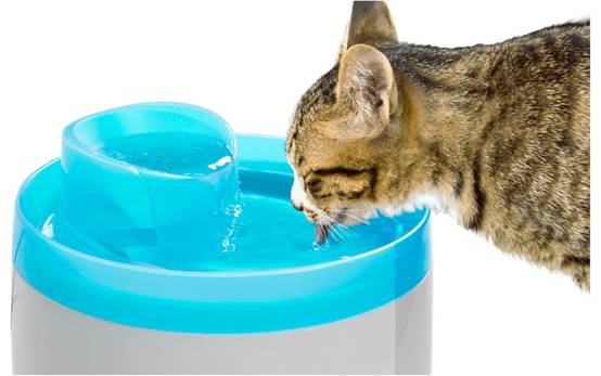 Zolux - Fontaine à eau électrique pour chat - 2 L - Image 3