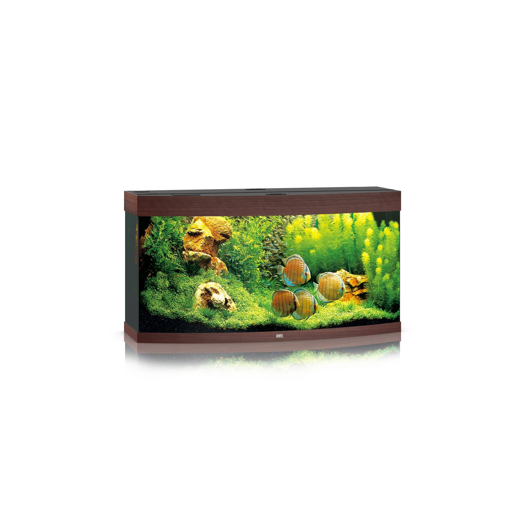 Juwel Aquarium - Aquarium Vision 260 Led bois foncé - L.121 x l.46 x H.64 cm