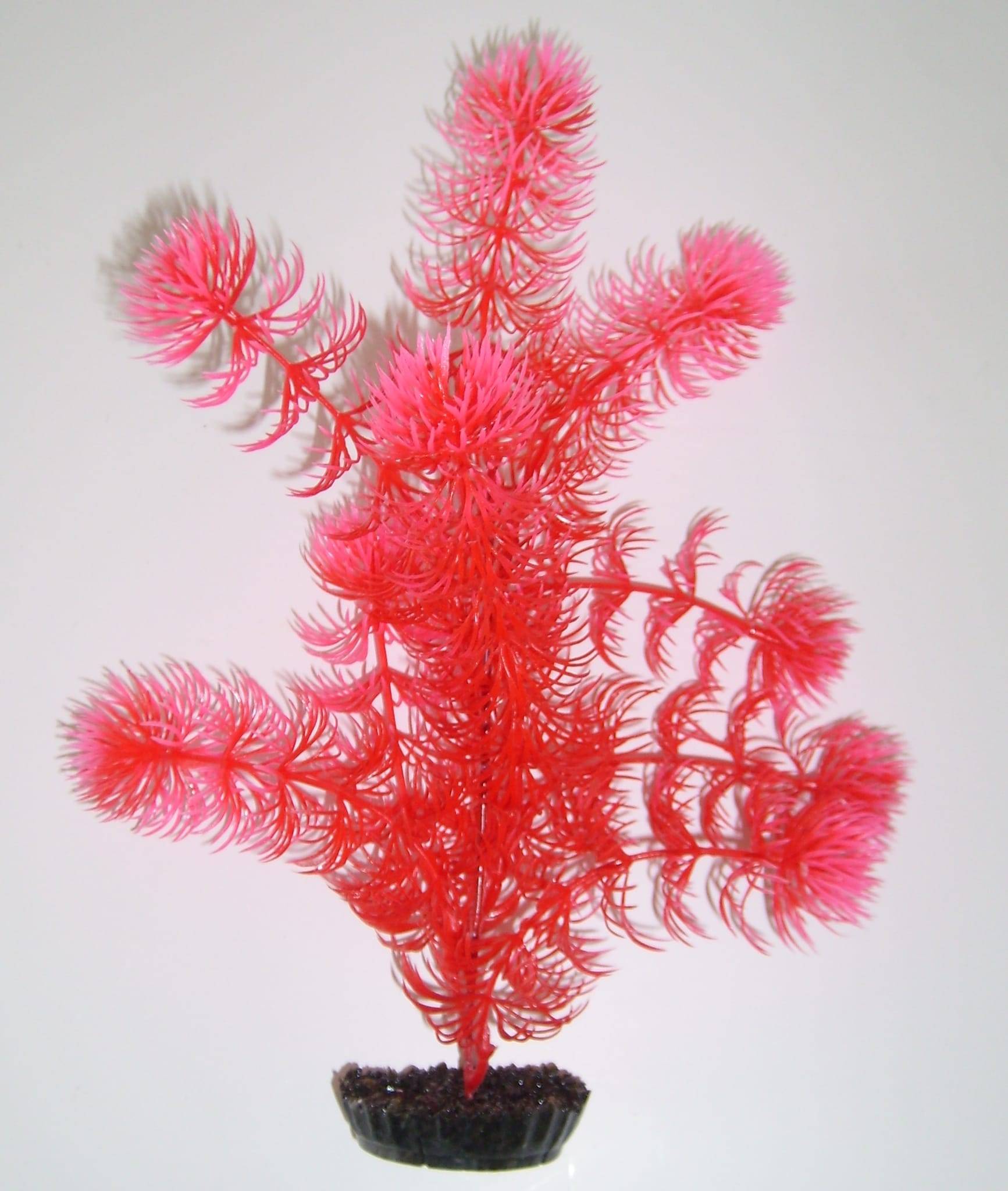 Labéo - Labéo - Décor mousse artificielle coloris assortis Ø.12 x H.28cm - Image 1