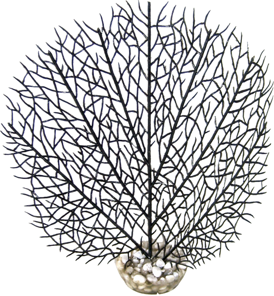 Labéo - Décor gorgone noir - Ø.20 x H.24 cm - Labéo