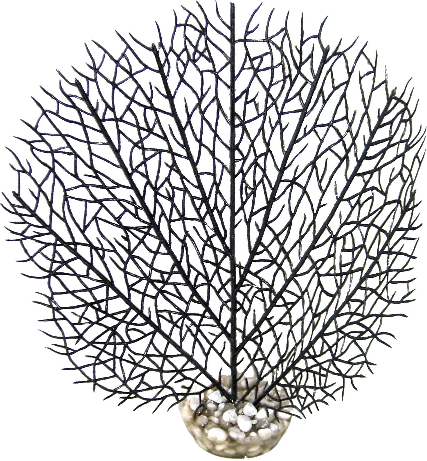 Labéo - Décor gorgone noir - Ø.20 x H.24 cm - Labéo