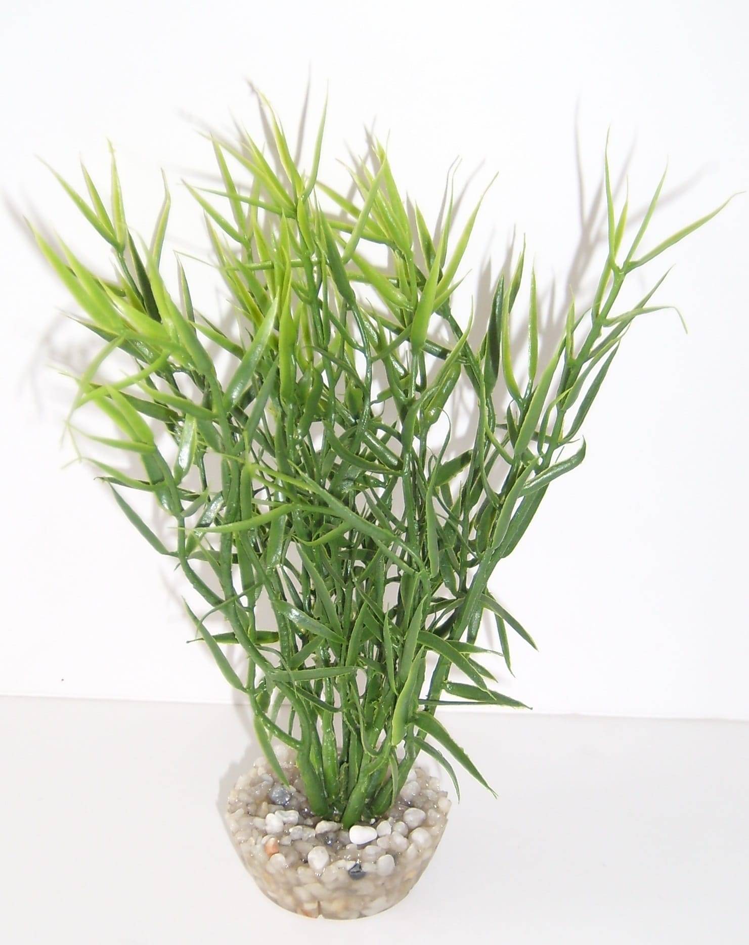 Labéo - Décor d'aquarium - LABEO - Image 1