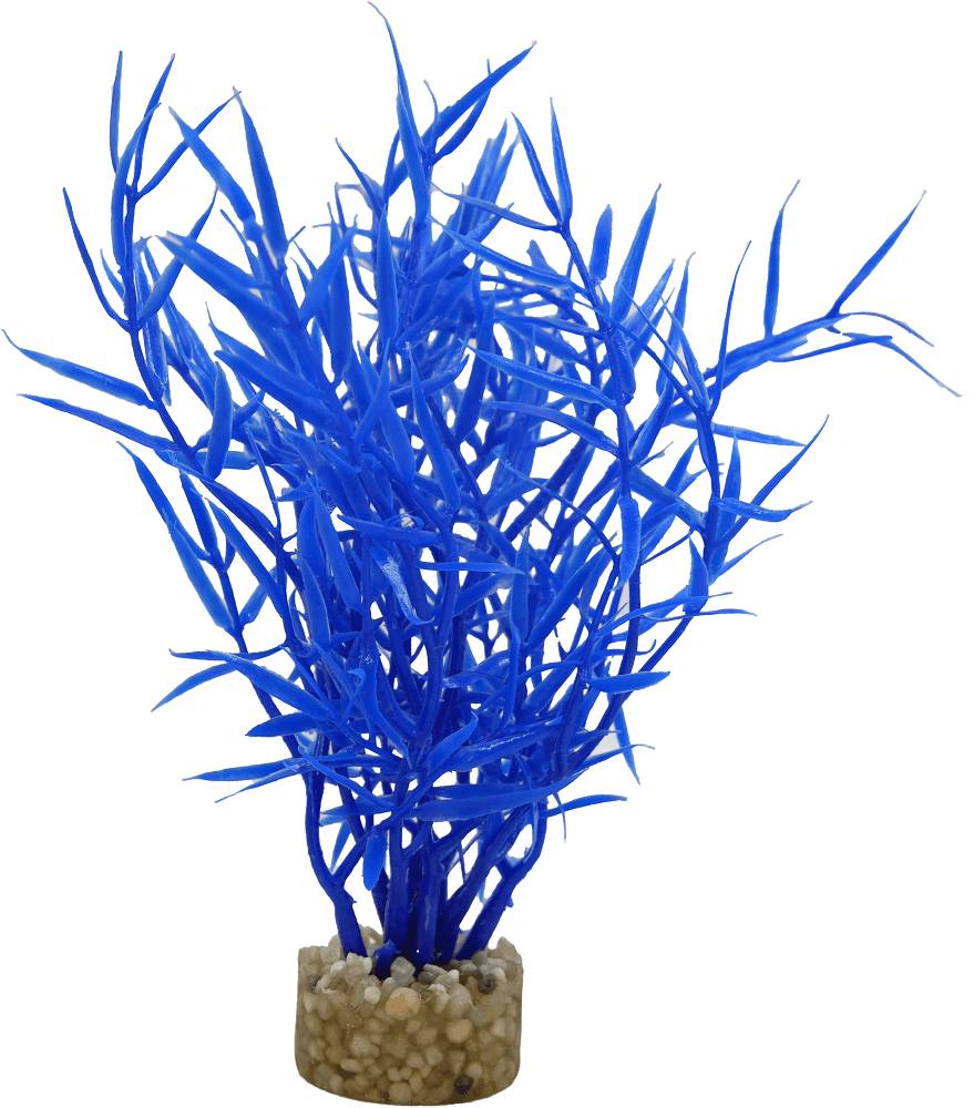 Labéo - Décor d'aquarium - LABEO - Image 2