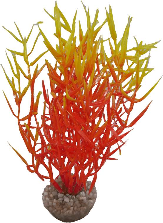 Labéo - Décor d'aquarium - LABEO - Image 8