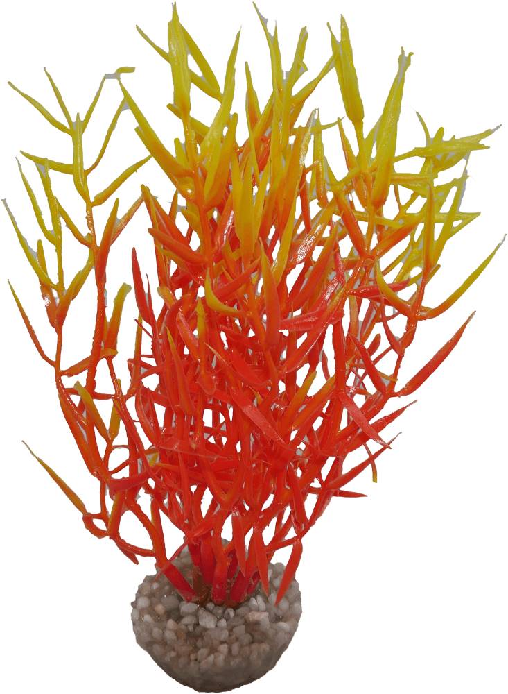 Labéo - Décor d'aquarium - LABEO - Image 8