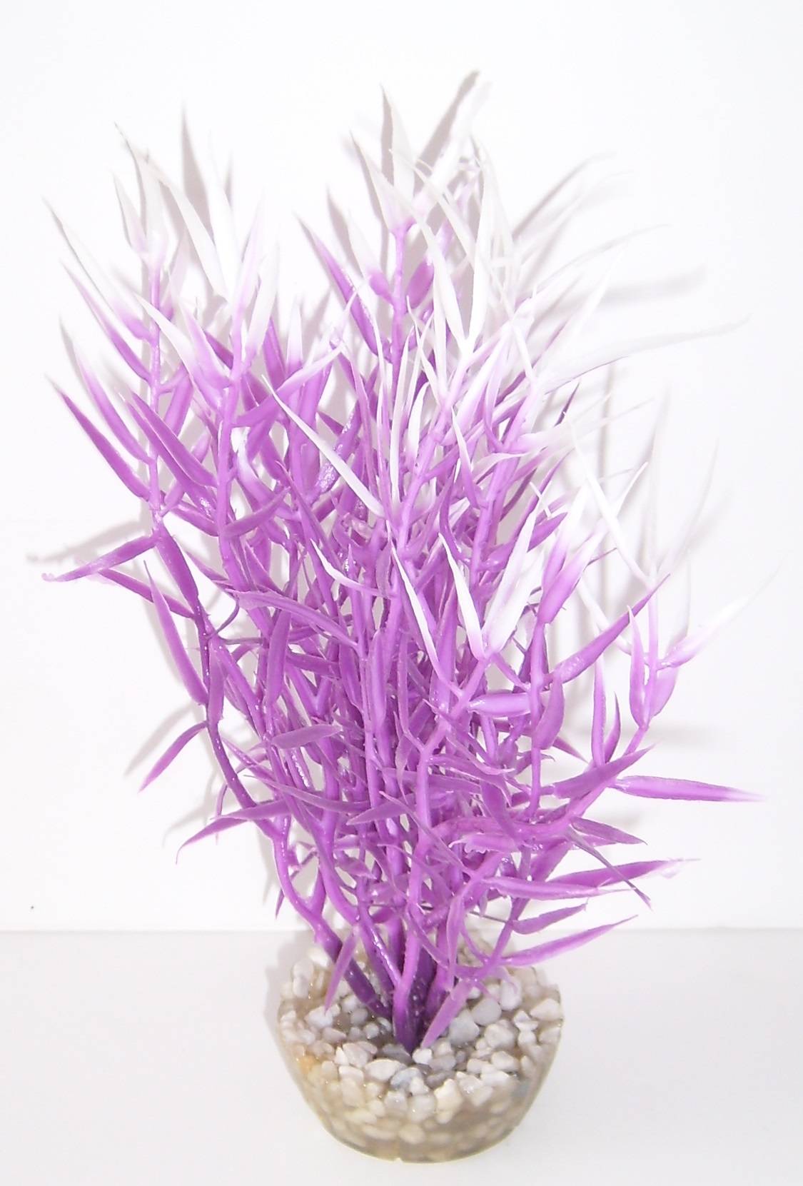 Labéo - Décor d'aquarium - LABEO - Image 6