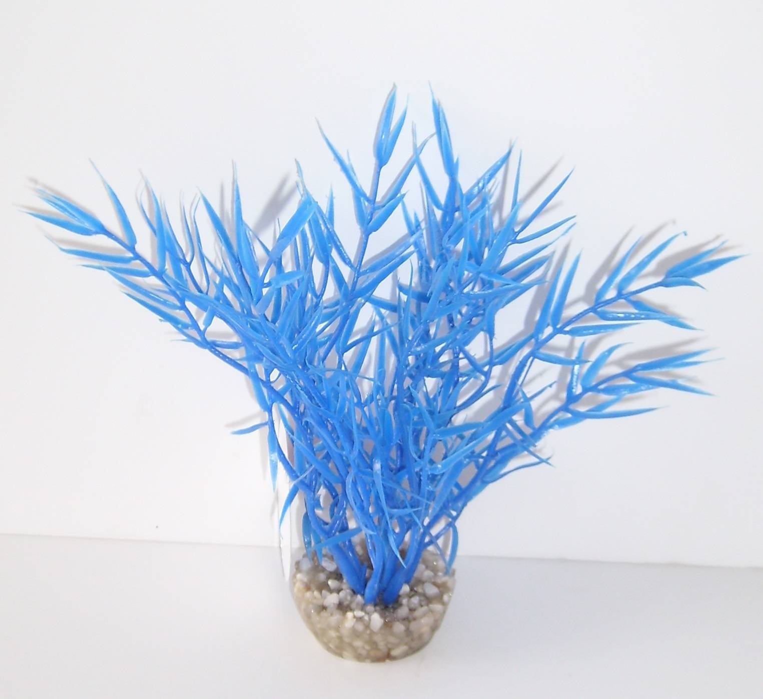 Labéo - Décor d'aquarium - LABEO - Image 4