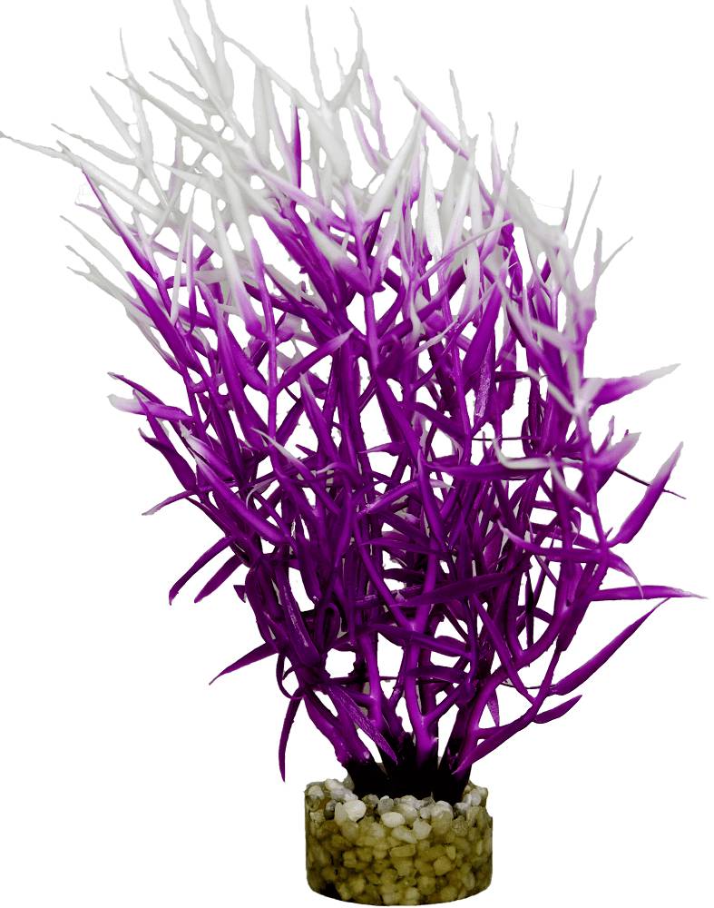 Labéo - Décor d'aquarium - LABEO - Image 7