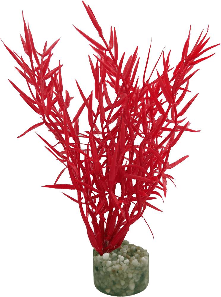 Labéo - Décor d'aquarium - LABEO - Image 3
