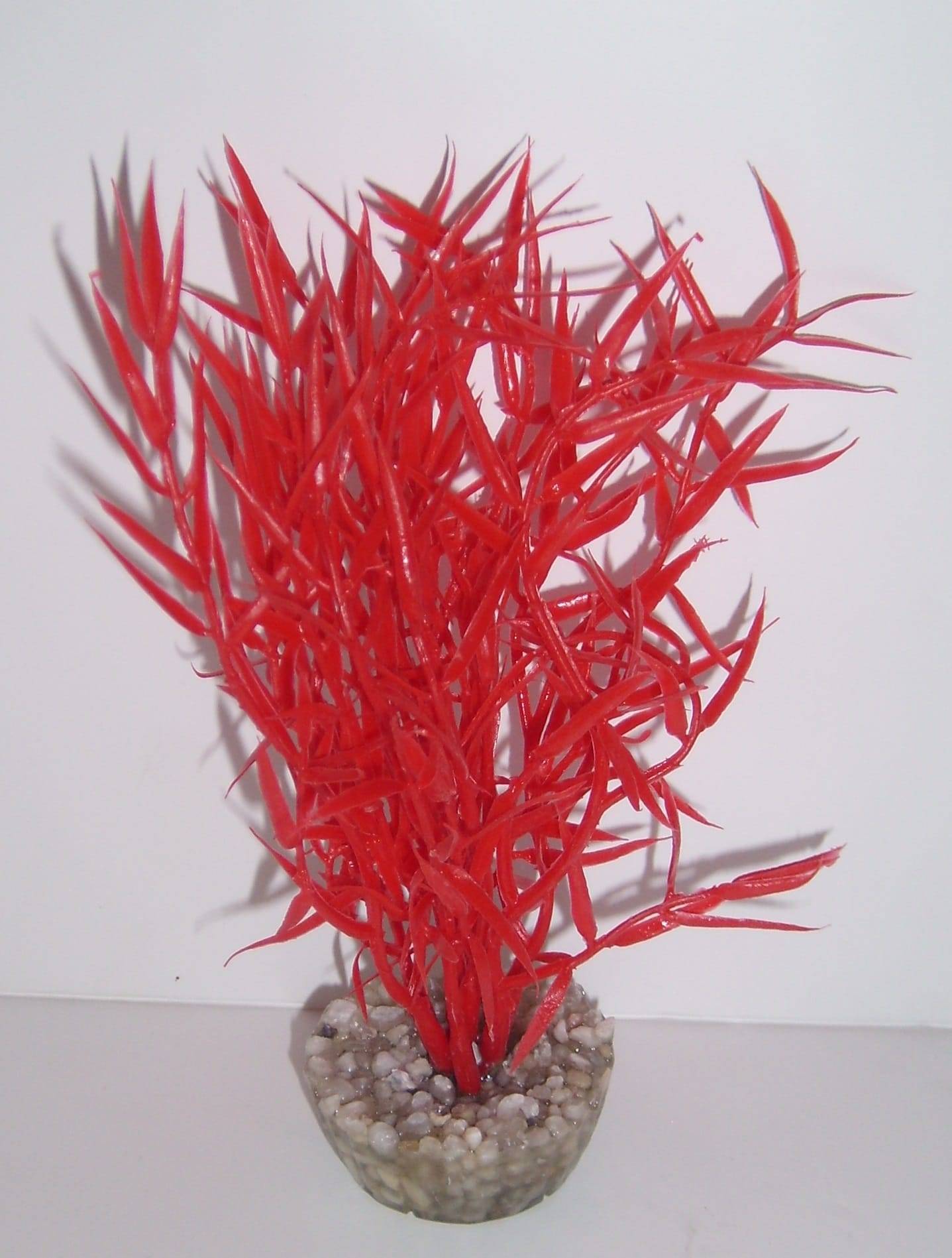 Labéo - Décor d'aquarium - LABEO - Image 9