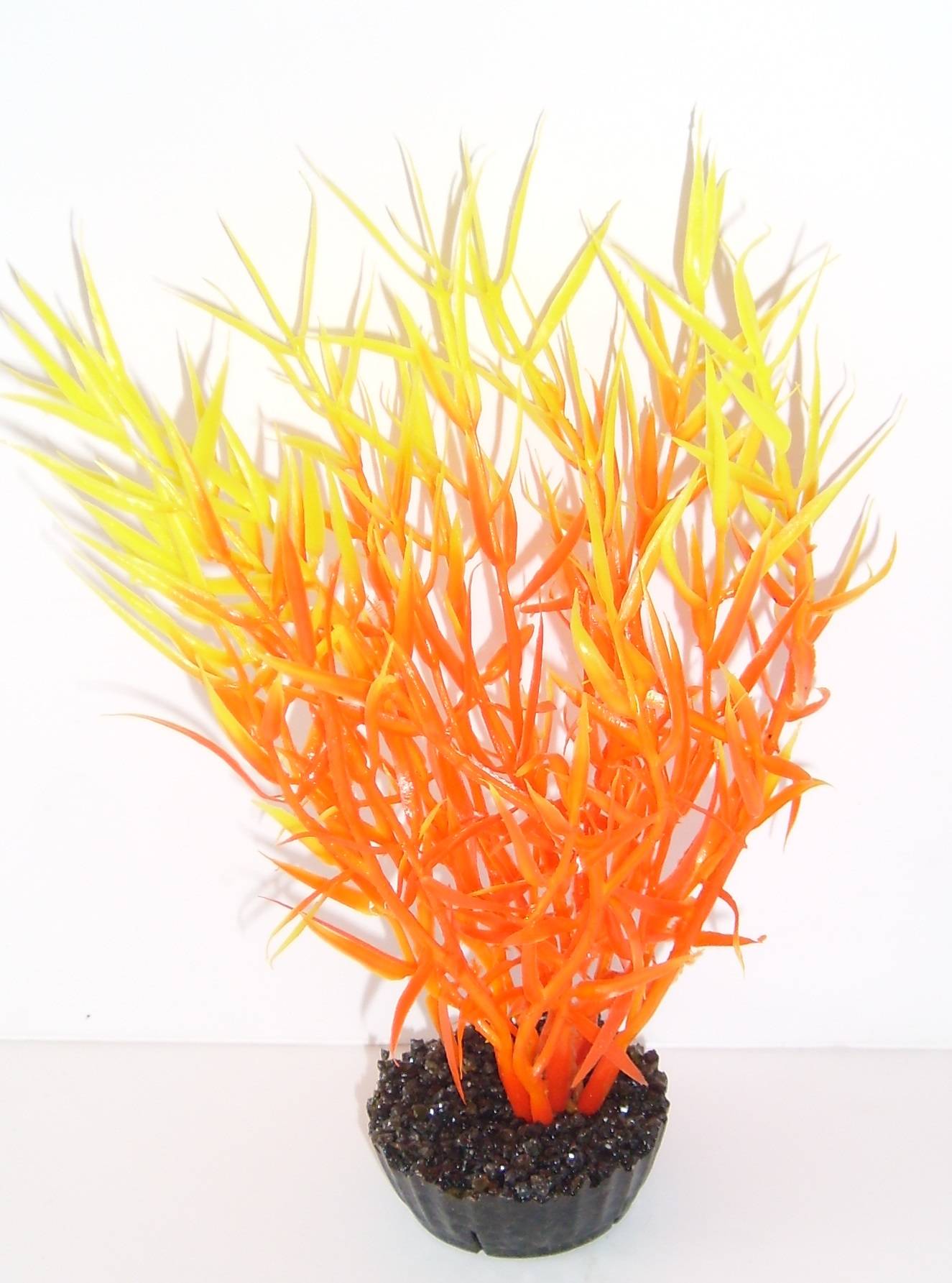 Labéo - Décor d'aquarium - LABEO - Image 5