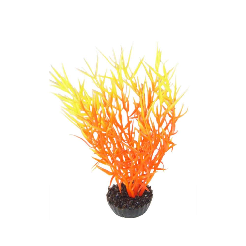 Labéo - Décor d'aquarium - LABEO - Image 11