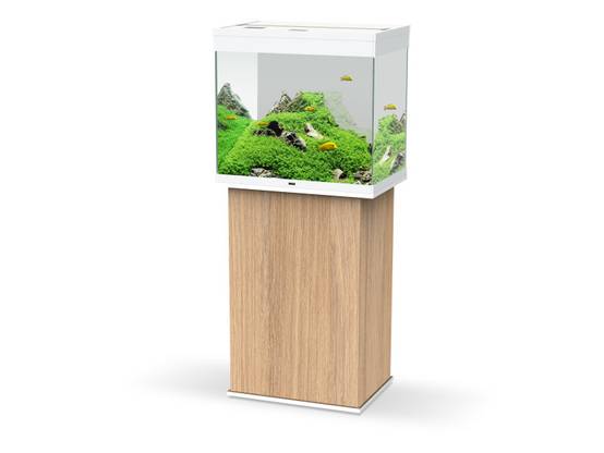 Ciano - Meuble aquarium emotions nature pro bois chêne blanc L.610 mm P.400 mm H.830 mm - Ciano - Image 2