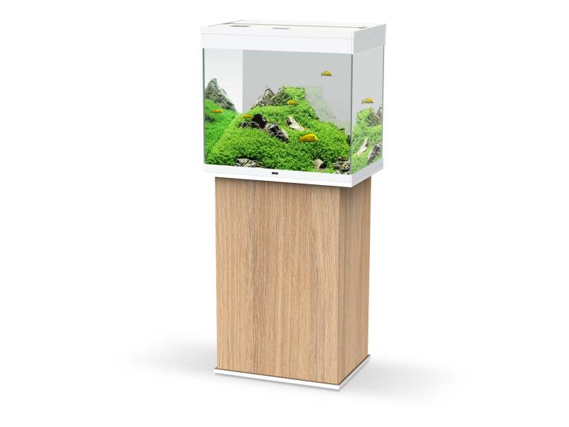 Ciano - Meuble aquarium emotions nature pro bois chêne blanc L.610 mm P.400 mm H.830 mm - Ciano - Imagen 2