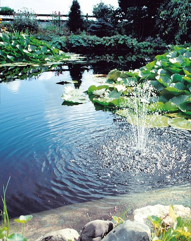 Ubbink - Filtración bajo presión para estanque de jardín Biopressure II 3000 PlusSet - Ubbink - Imagen 2