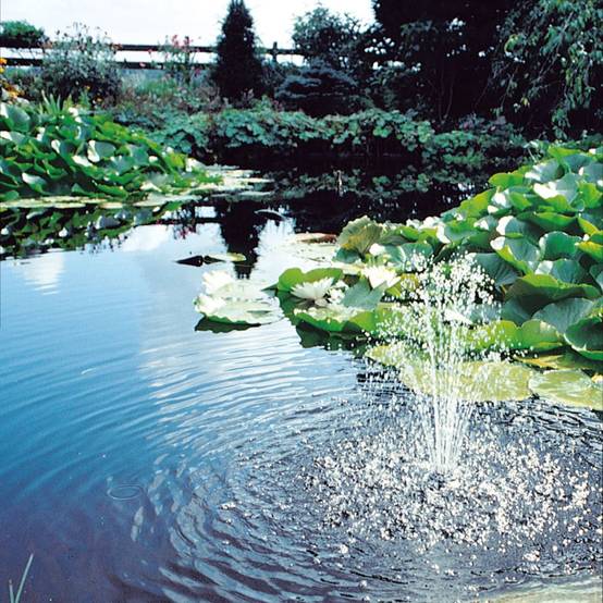 Ubbink - Filtration sous pression pour bassin de jardin Biopressure II 6000 PlusSet - Ubbink - Image 6