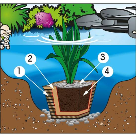 Ubbink - Terreau plantes aquatiques UBBINK - Image 4