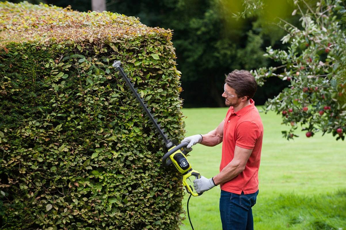 Ryobi - Taille-Haie Électrique 600W L.60cm RHT6160RS - RYOBI - Image 4