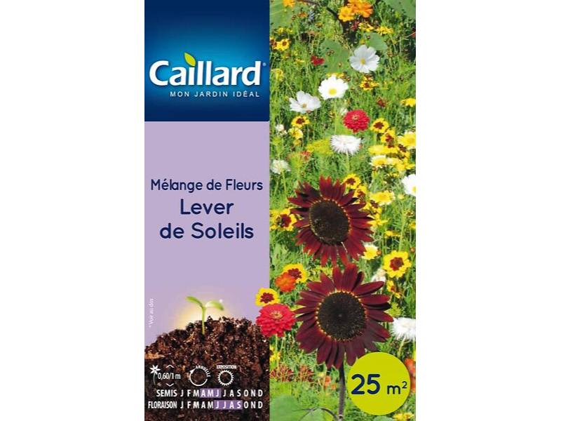 Mélange de fleurs Lever de Soleils - CAILLARD