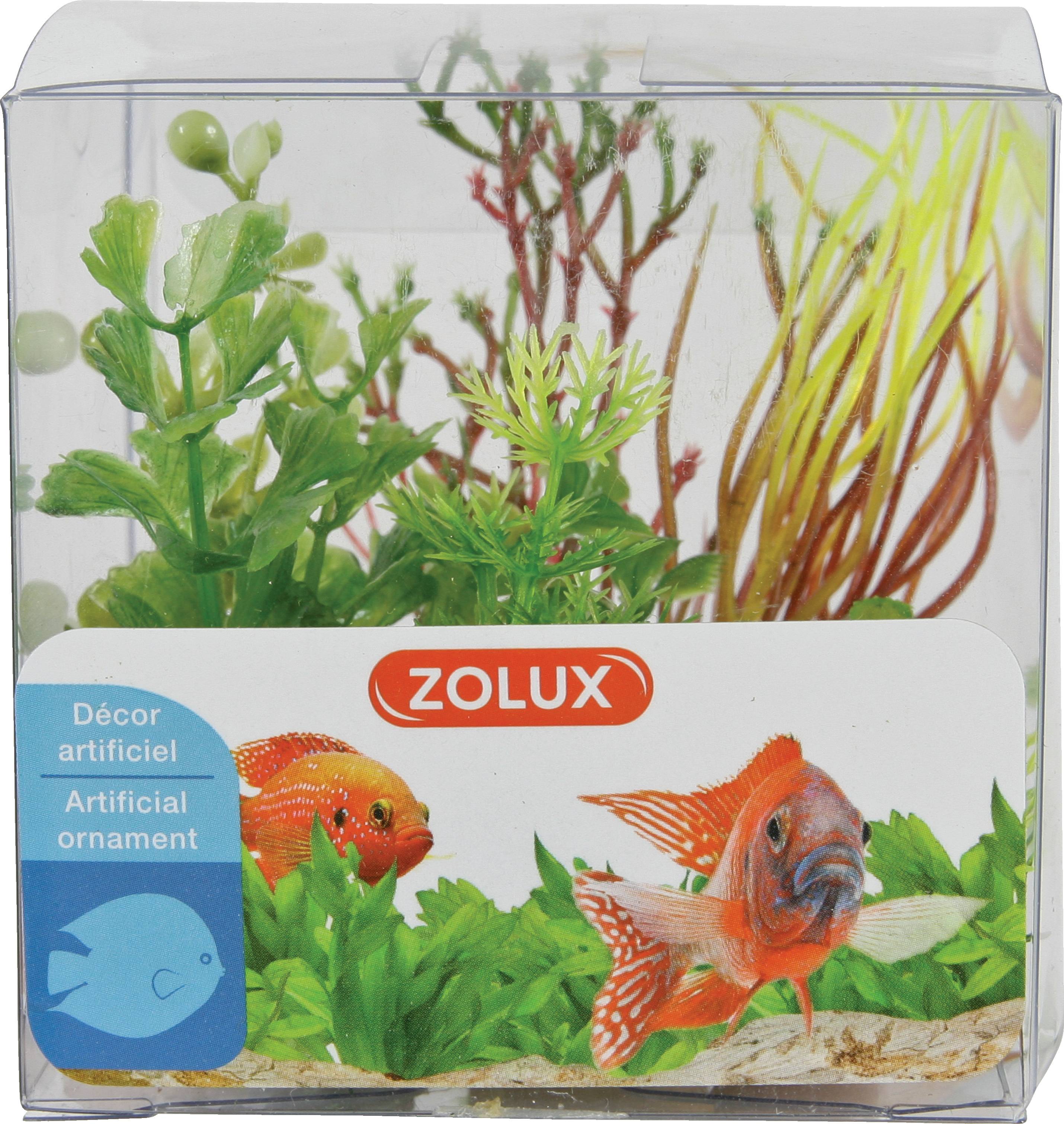 Zolux - Kit de 4 plantes artificielles - ZOLUX