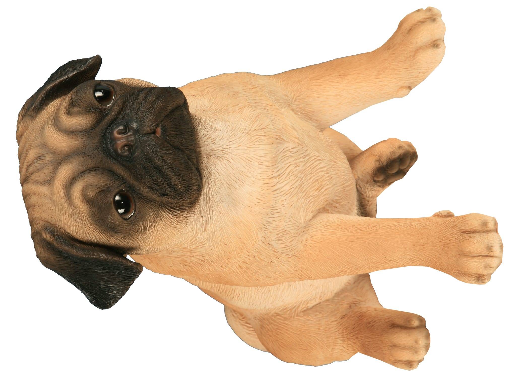 Boxer non coupé, statue de chien sur une base en bois édition limitée Boxer non coupé, statue de chien sur une base en bois édition limitée