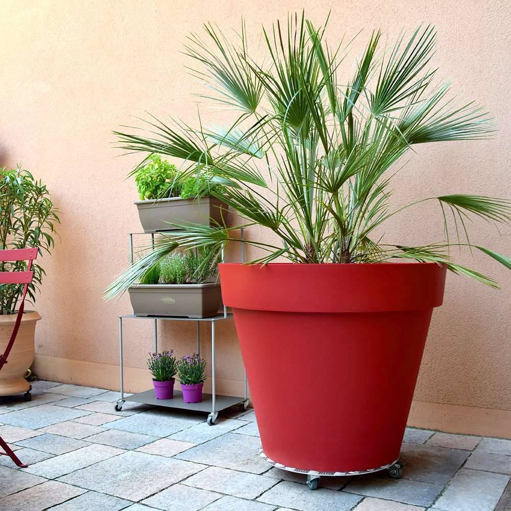 Louis Moulin - Rueda para plantas de aluminio Alu Redondo Ø 50 cm - LOUIS MOULIN - Imagen 6