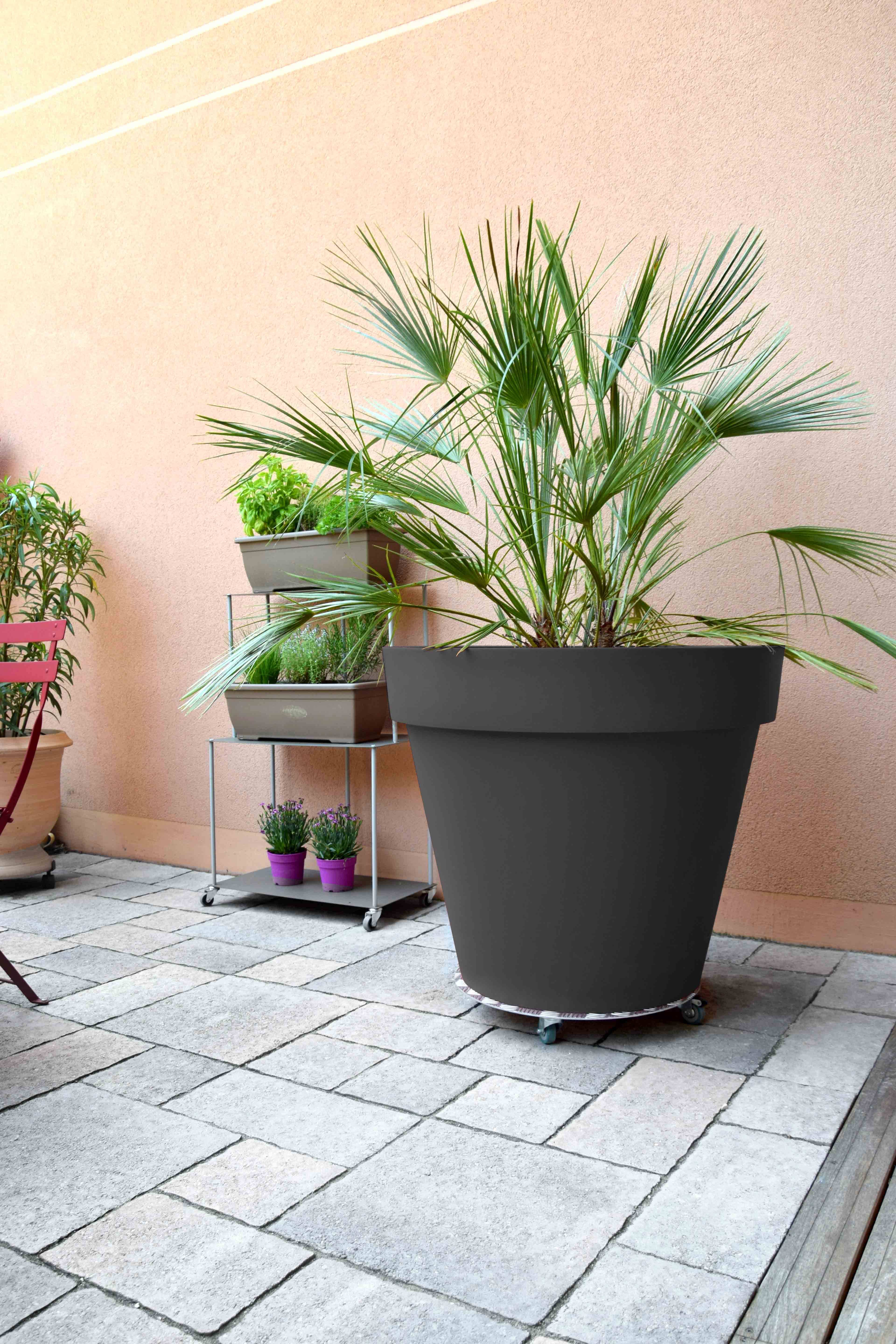 Louis Moulin - Rueda para plantas de aluminio Alu Redondo Ø 50 cm - LOUIS MOULIN - Imagen 3