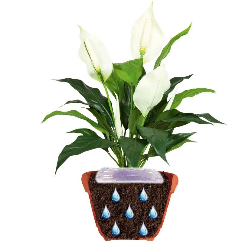 Jardibric - Gel d'arrosage Plantes 400 ml - JARDIBRIC - Image 3
