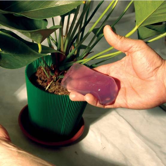 Jardibric - Gel d'arrosage Plantes 400 ml - JARDIBRIC - Image 4
