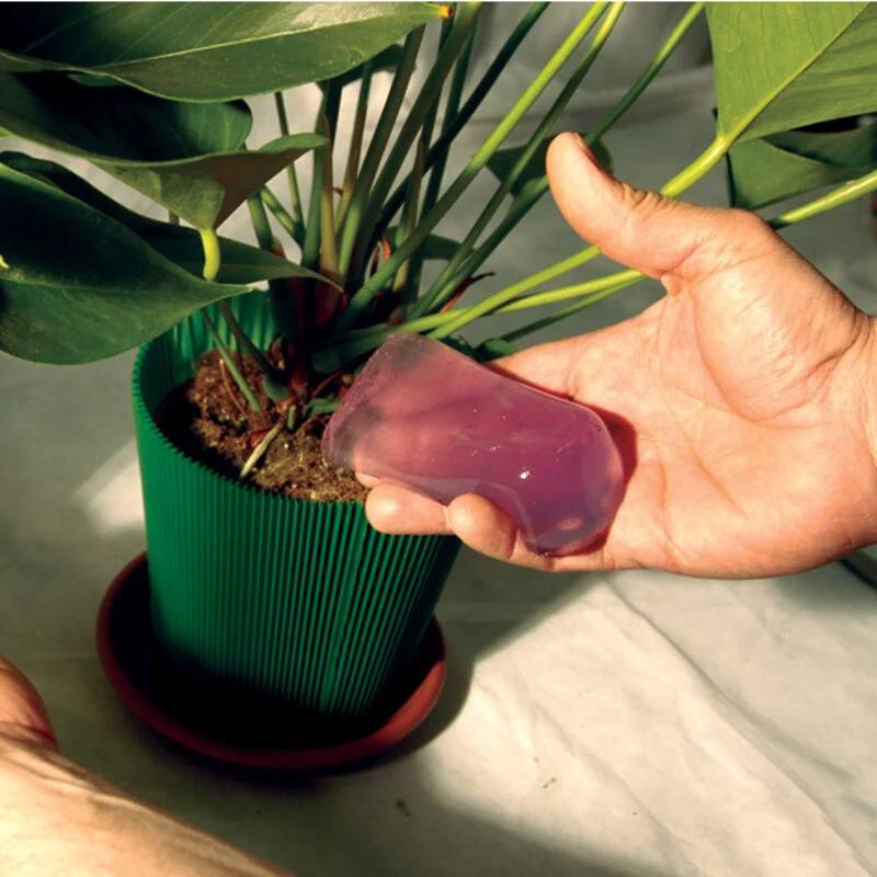 Jardibric - Gel d'arrosage Plantes 400 ml - JARDIBRIC - Image 4