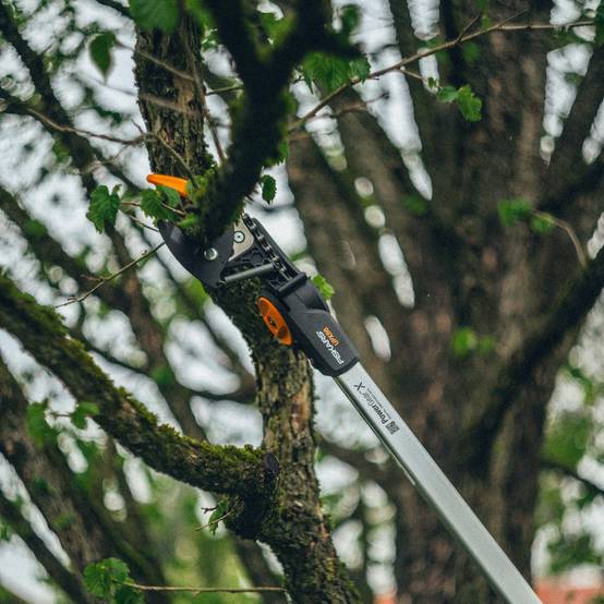 Fiskars - Coupe-branches télescopique Fiskars PowerGearTM X, (UPX86) - Fiskars - Imagen 4