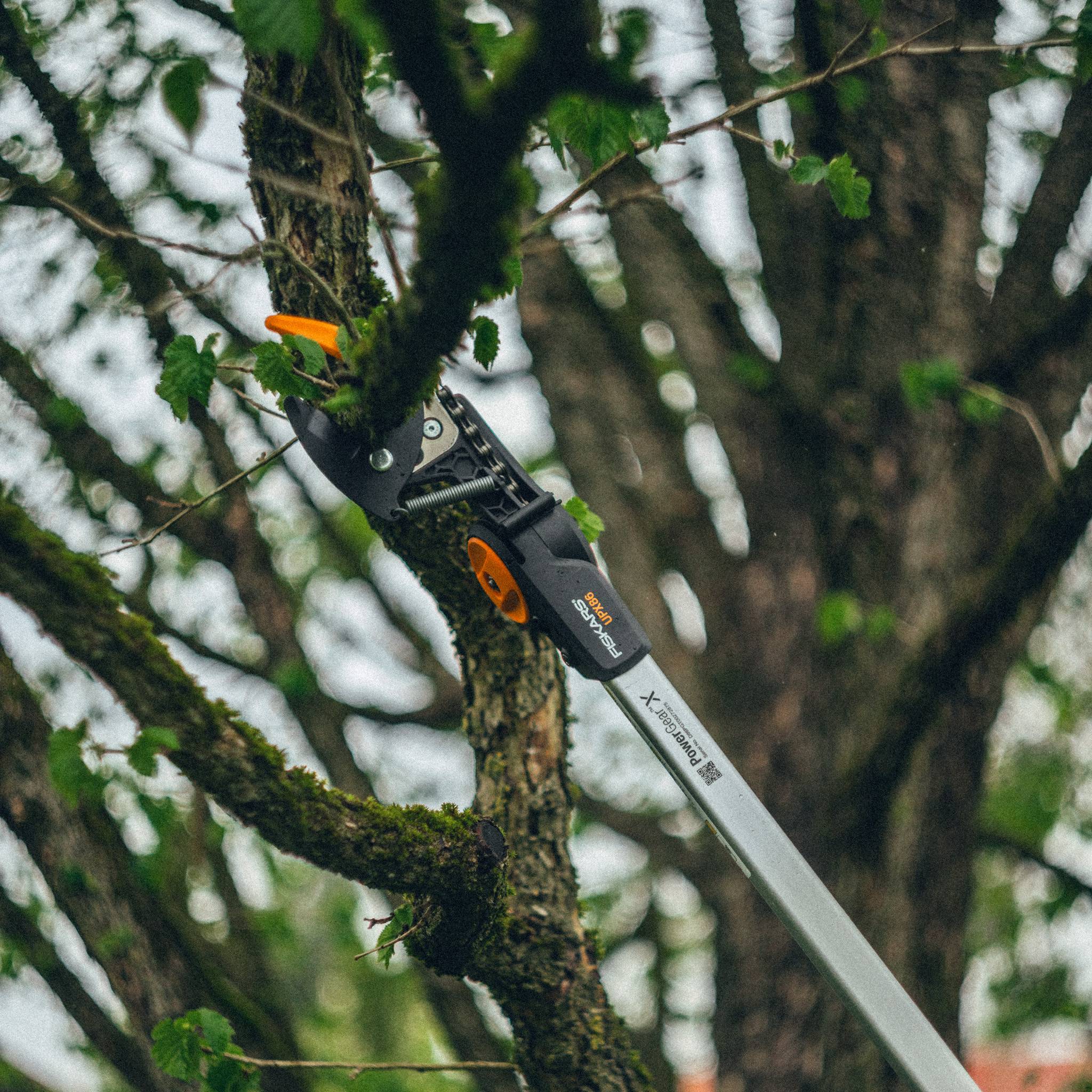 Fiskars - Coupe-branches télescopique Fiskars PowerGearTM X, (UPX86) - Fiskars - Imagen 4