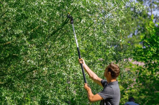 Fiskars - Coupe-branches multifonctions FISKARS UPX82 - Image 11