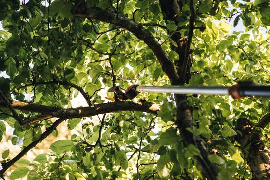 Fiskars - Coupe-branches multifonctions FISKARS UPX82 - Image 16
