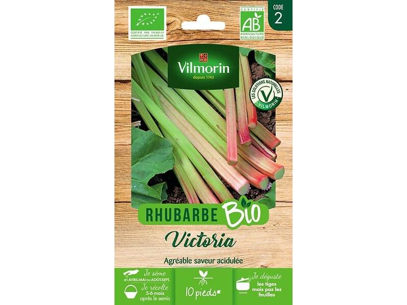 Vilmorin - Rhubarbe Victoria Bio série 2 sachet graines 0,5 g - Vilmorin - Image 2