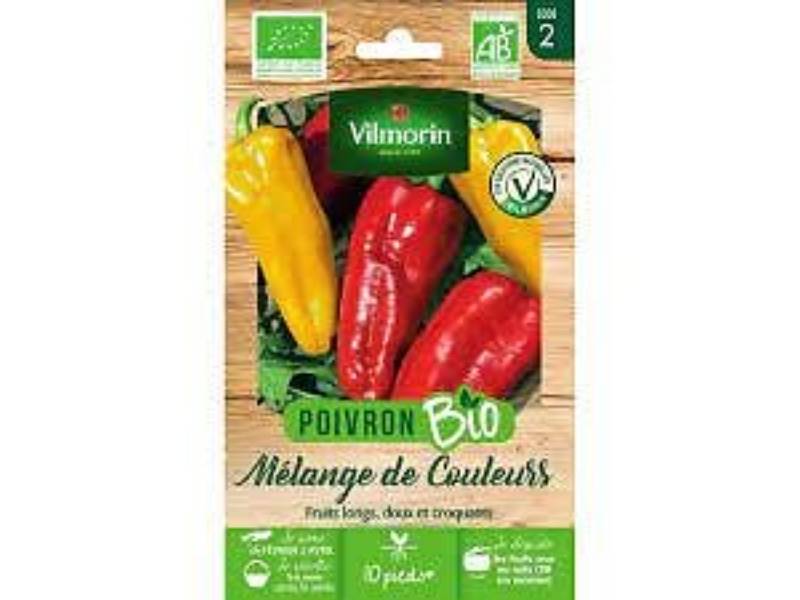 Vilmorin - Poivron mélange de couleurs Bio série 2 sachet graines 0,15 g - Vilmorin - Image 2