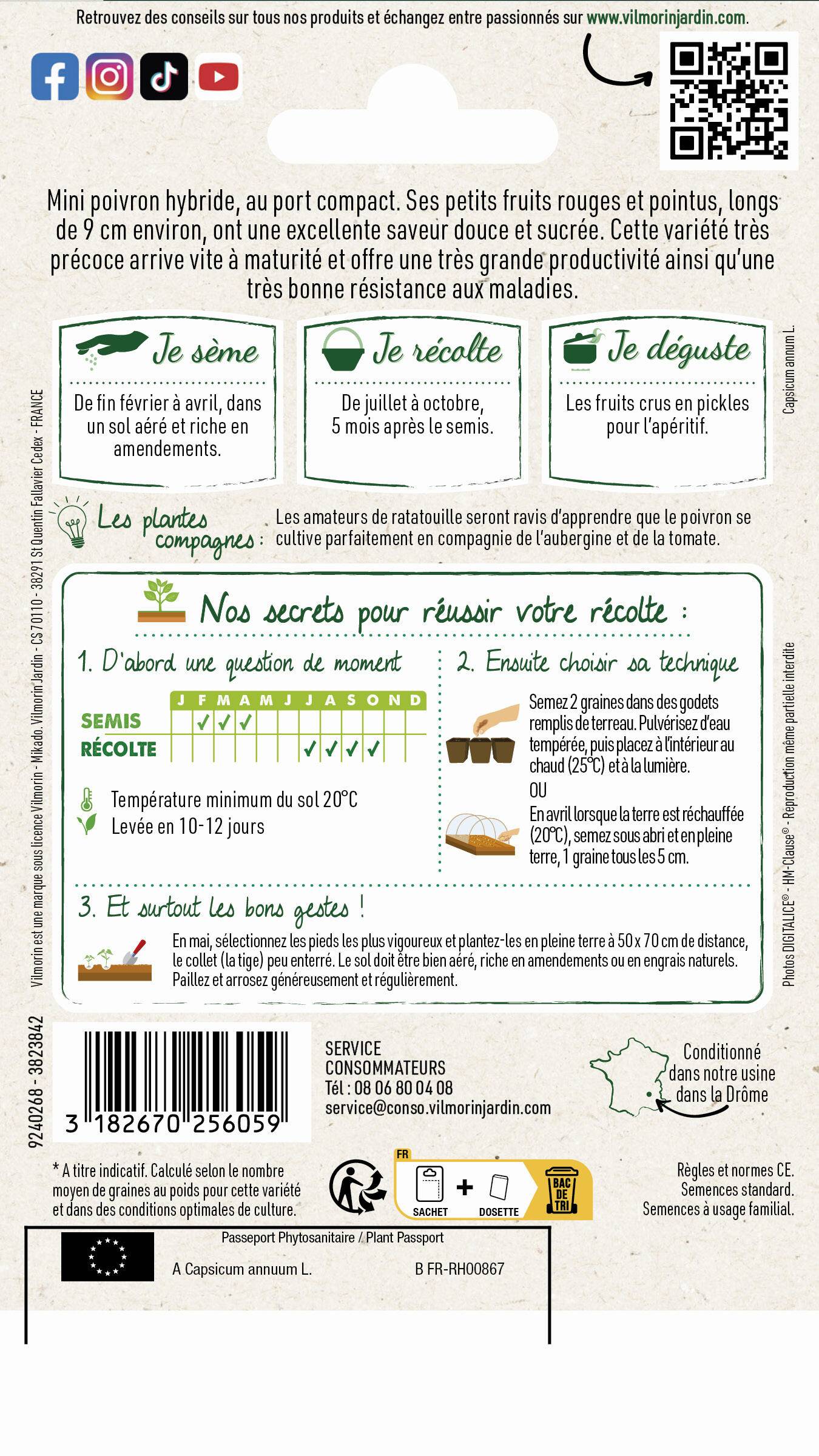 Vilmorin - Poivron Balconi HF1 serie 2 sachet graines 0,2 g - Vilmorin - Image 2