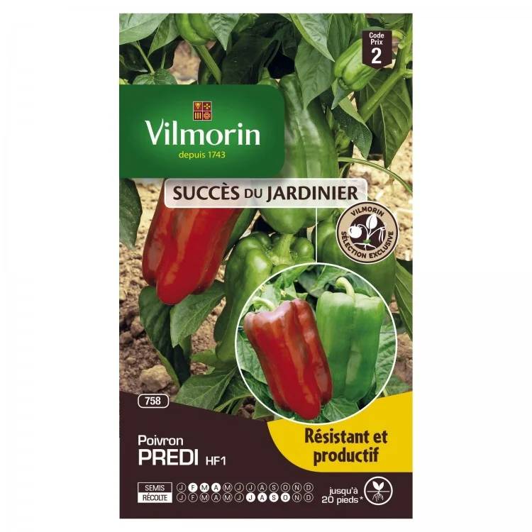 Vilmorin - Poivron Predi hf1 série 2 sachet graines 0,3 g - Vilmorin - Image 1