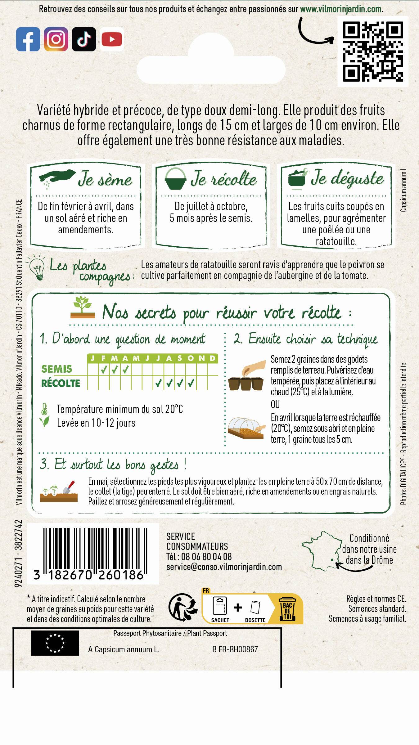 Vilmorin - Poivron Predi hf1 série 2 sachet graines 0,3 g - Vilmorin - Image 4