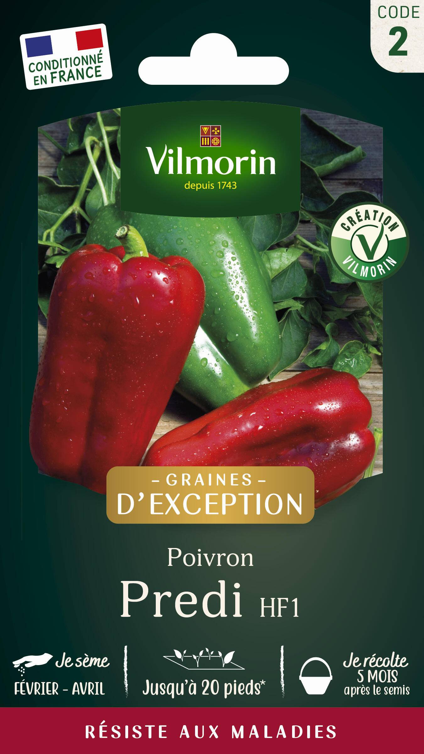 Vilmorin - Poivron Predi hf1 série 2 sachet graines 0,3 g - Vilmorin - Image 2