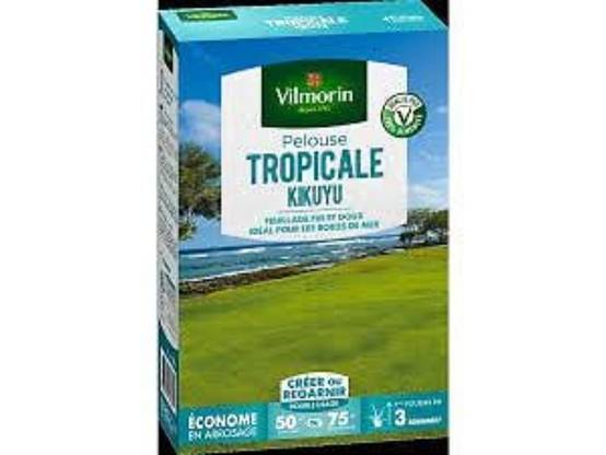 Vilmorin - Pelouse Tropicale Kikuyu 500 g - Vilmorin - Image 1