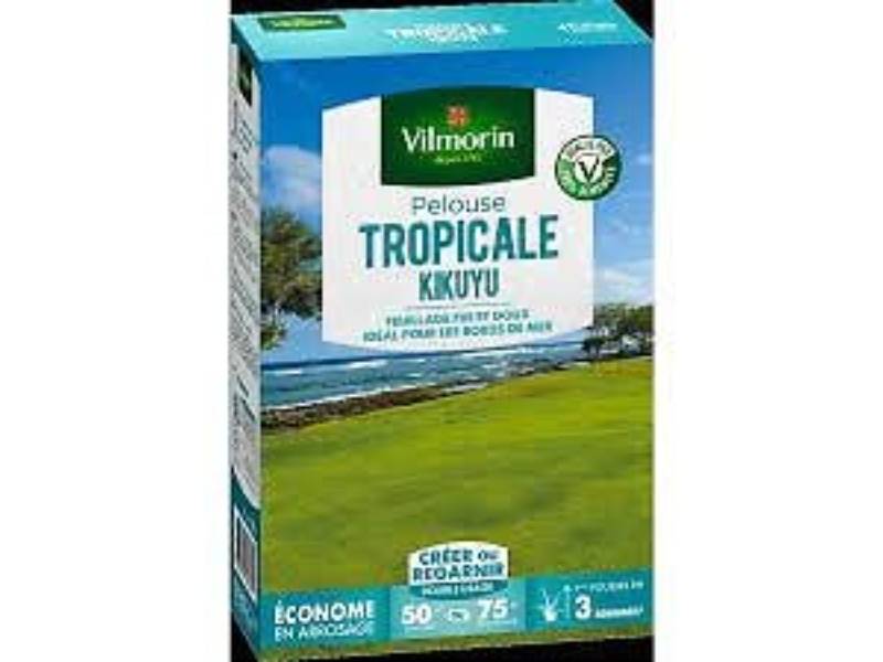 Vilmorin - Pelouse Tropicale Kikuyu 500 g - Vilmorin - Image 1