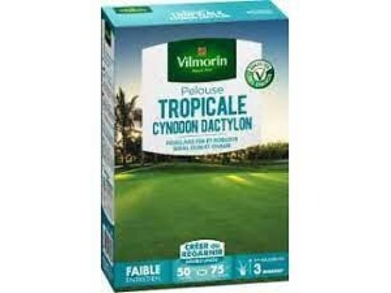 Vilmorin - Pelouse tropicale cynodon dactylon 500 g 50 m² - VILMORIN - Image 1