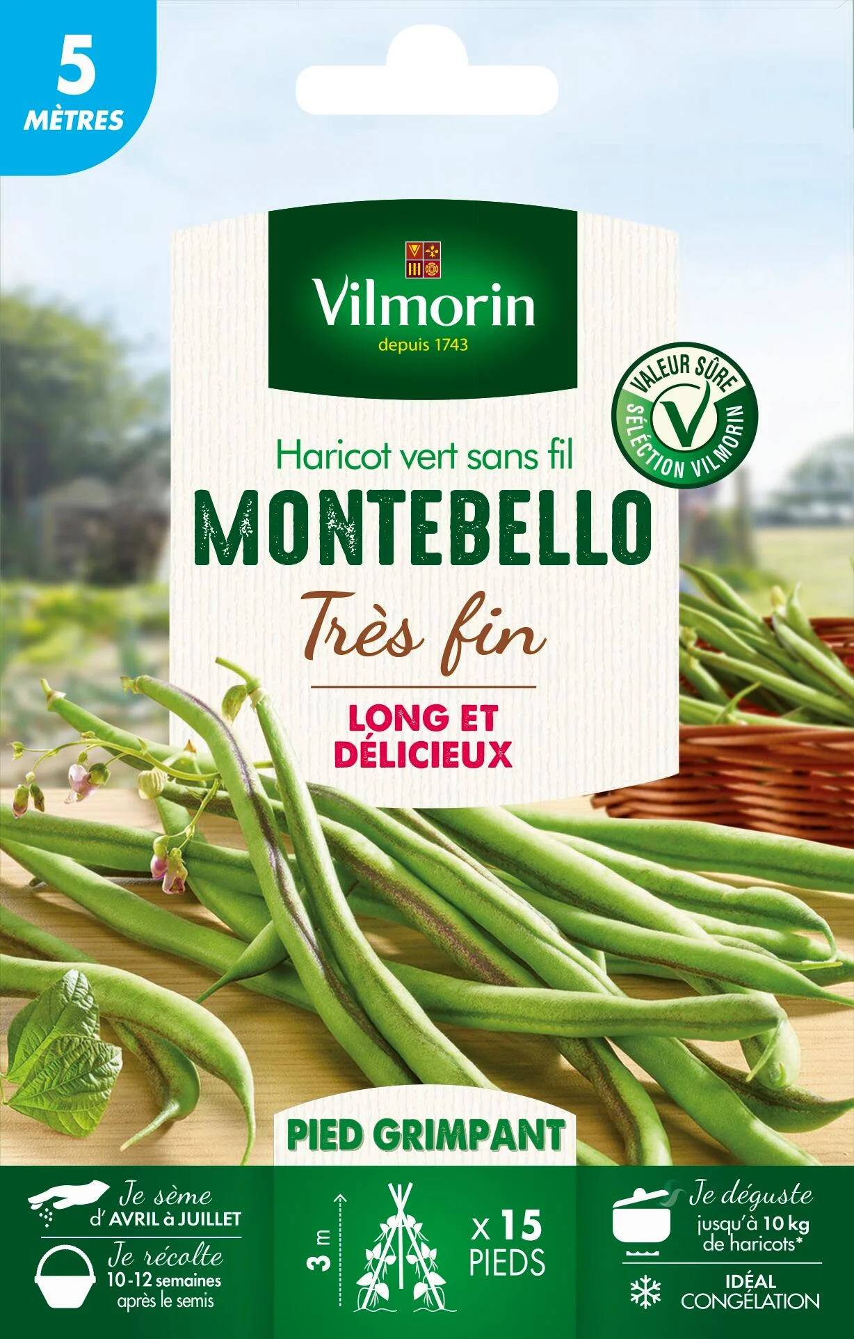 Vilmorin - Haricot à rames Montebello série 5m sachet graines 28 g - Vilmorin